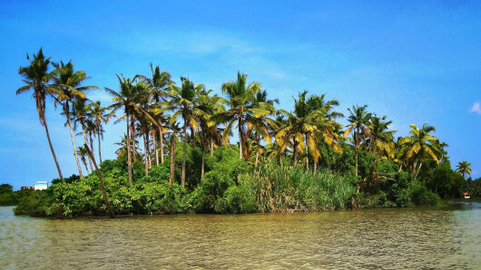 Honeymoon Tours - Tempo Traveller Van Rental in Erode, Tamilnadu