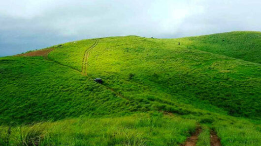 Honeymoon Tours - Tempo Traveller Van Rent in Erode, Tamilnadu